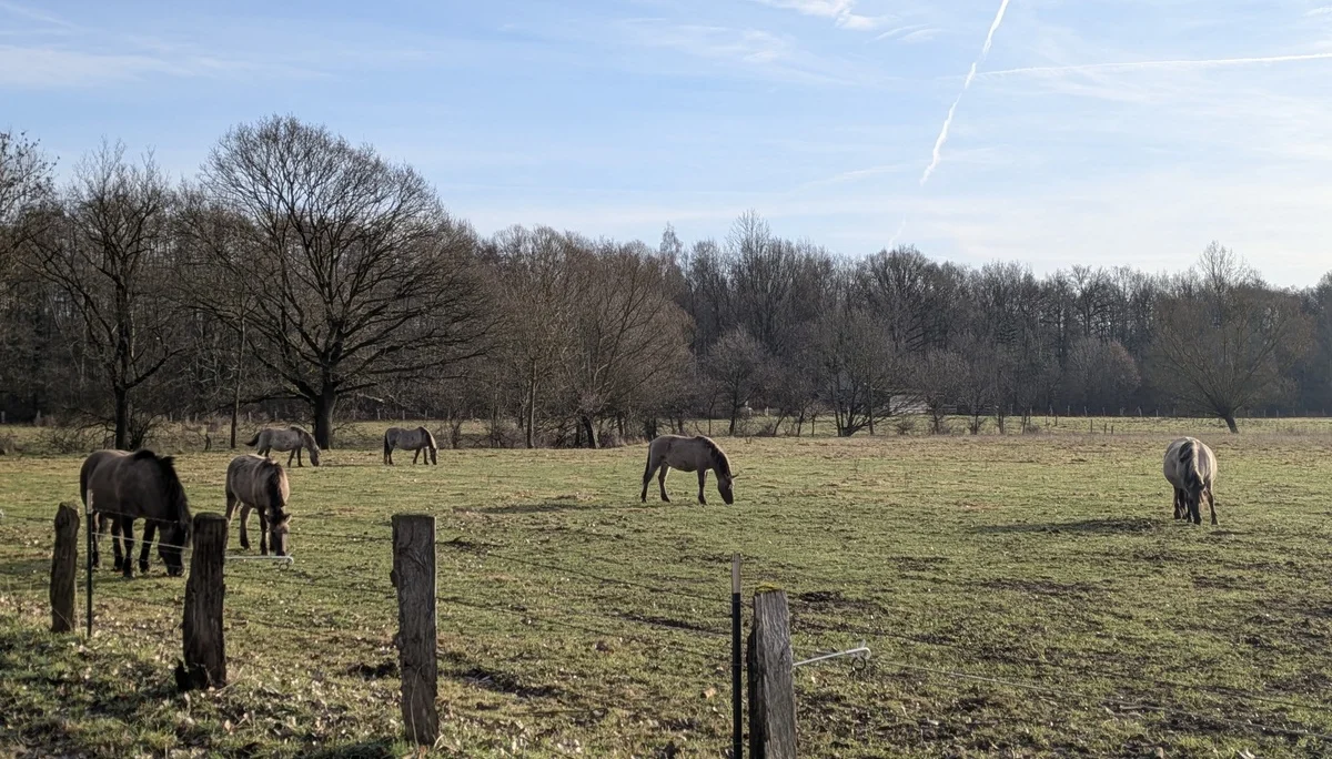 MM2026 | © DAV Münster