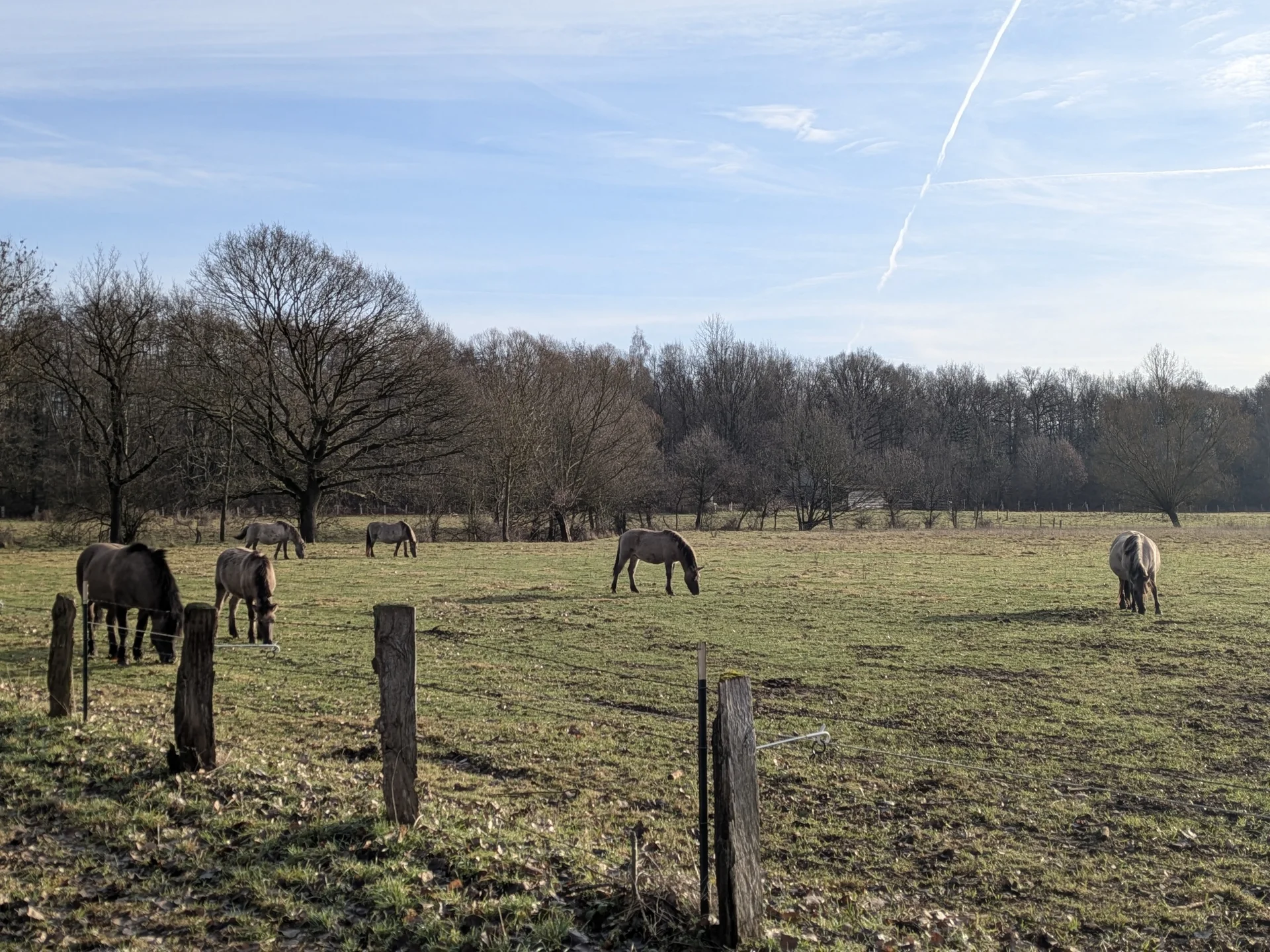 MM2026 | © DAV Münster