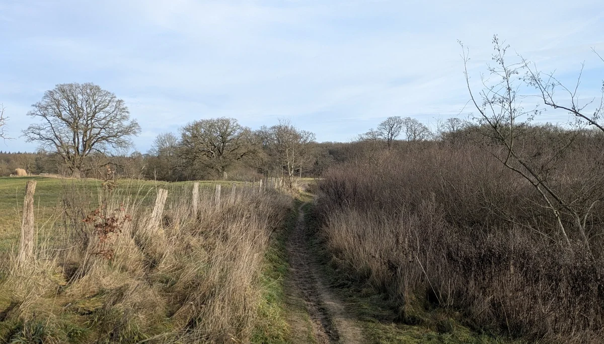 MM2026 | © DAV Münster