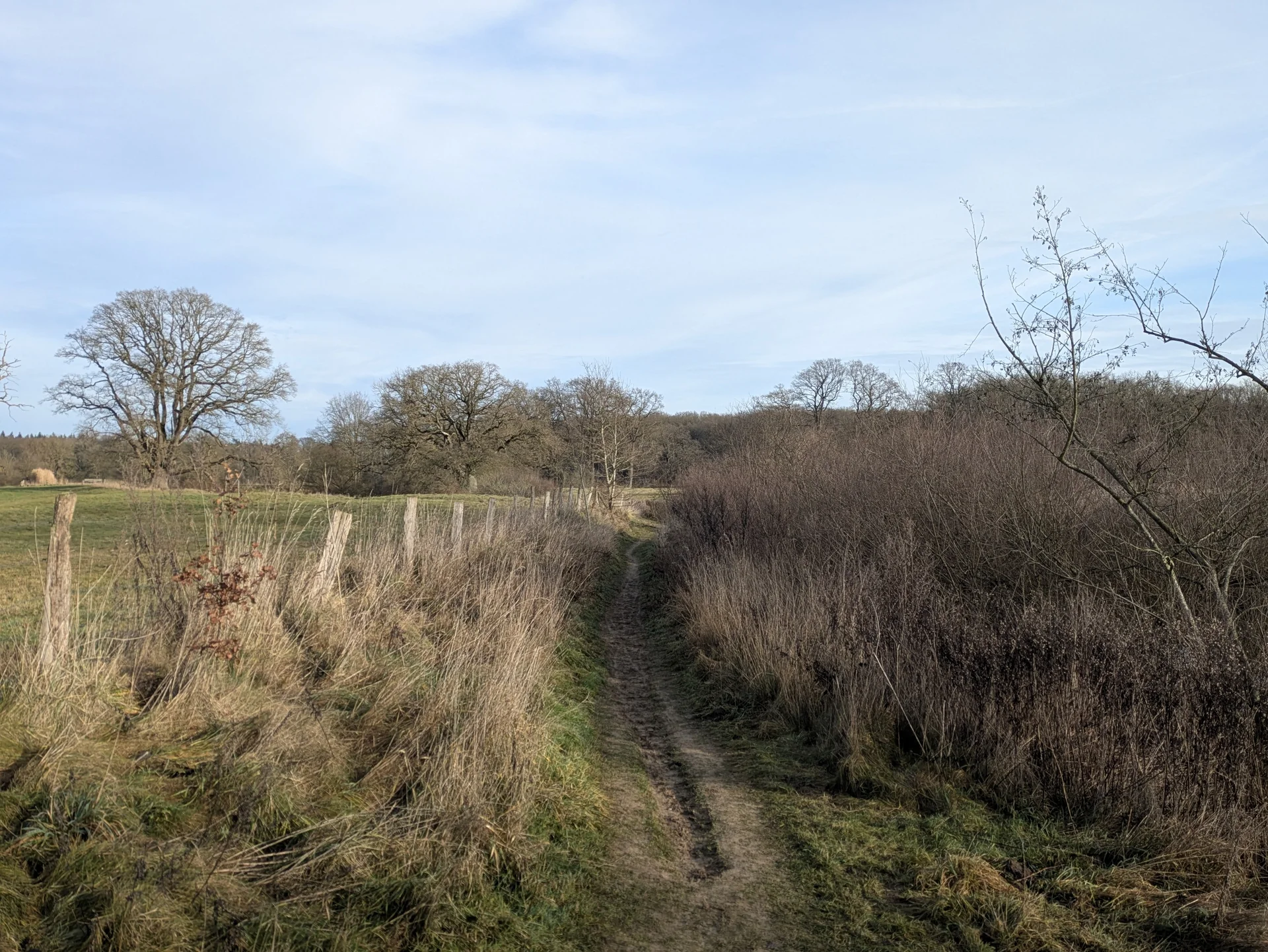 MM2026 | © DAV Münster