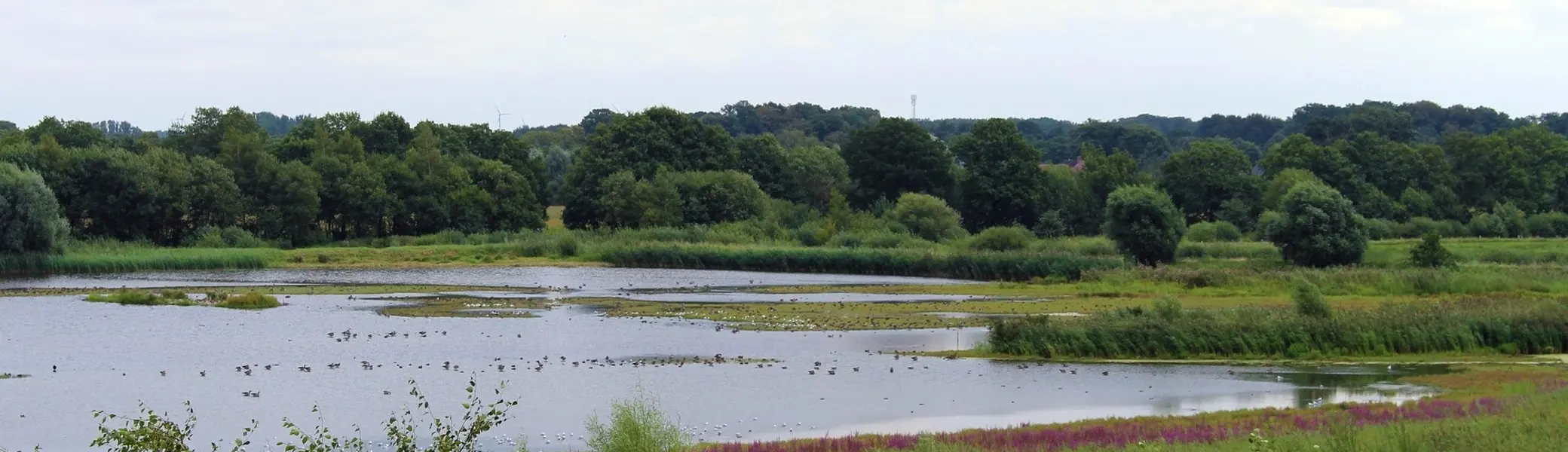 Die Rieselfelder | © Pixabay/ Reginas Photos