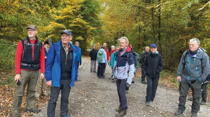 Es sind ca. 15 Wanderer auf einem Waldweg zu sehen im Herbst | © DAV Münster